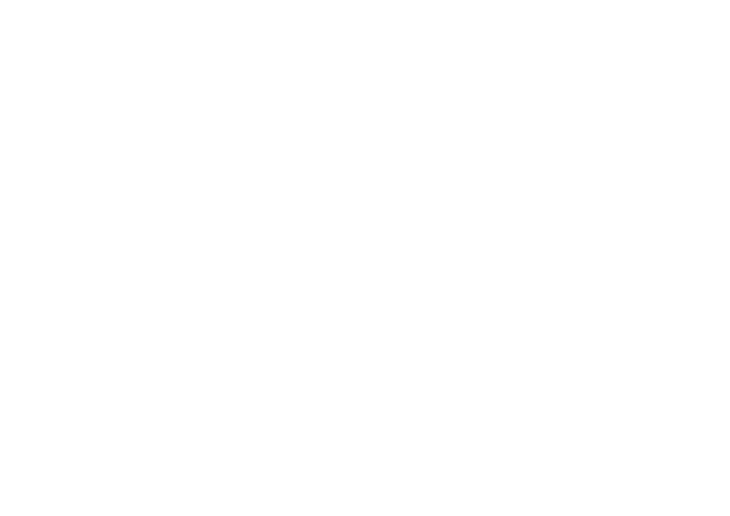 宮崎県産 地頭鶏 適度な弾力と身の締まりにコクのある味わいが人気！